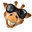 g