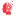 zorbulmaca.com