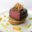 gosteak.cc