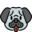 pug4.com