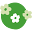 gymaehwa.org