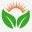 plantparadiso.com