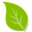 plantindex.com