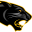 pioneerpanthers.com