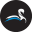 PerthBranding favicon