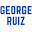 georgeruizexpertrepairs.com