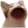 popcat.games