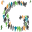 g