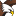 937theeagle.com