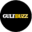 gulfbuzz.com