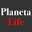 planetapolska.com