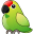 parrotforums.com