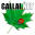 gallai.net