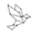 g