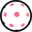 pinkpickleball.com