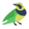 g