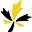 parliamenttoday.ca