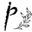 p