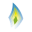 g