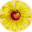 permaculturewomen.com